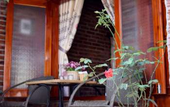 Bungalow garden view